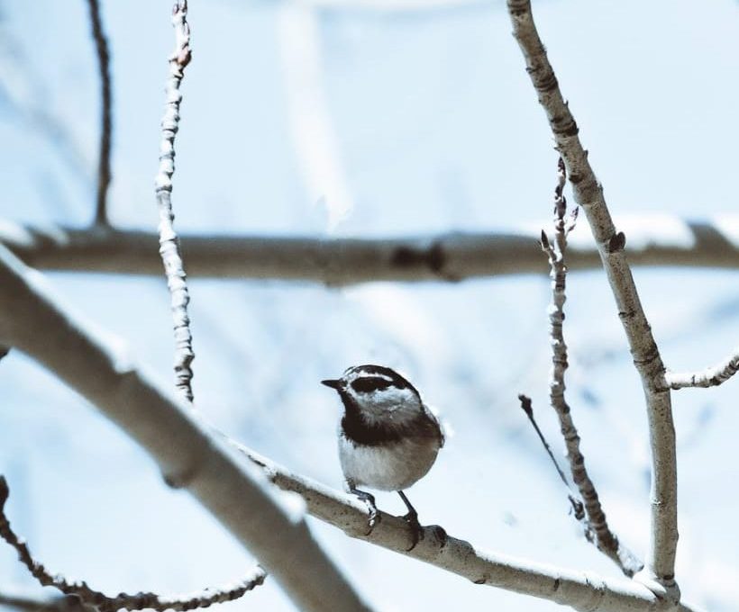 Praxis geschlossen: 12.02.26 – 17.02.26!